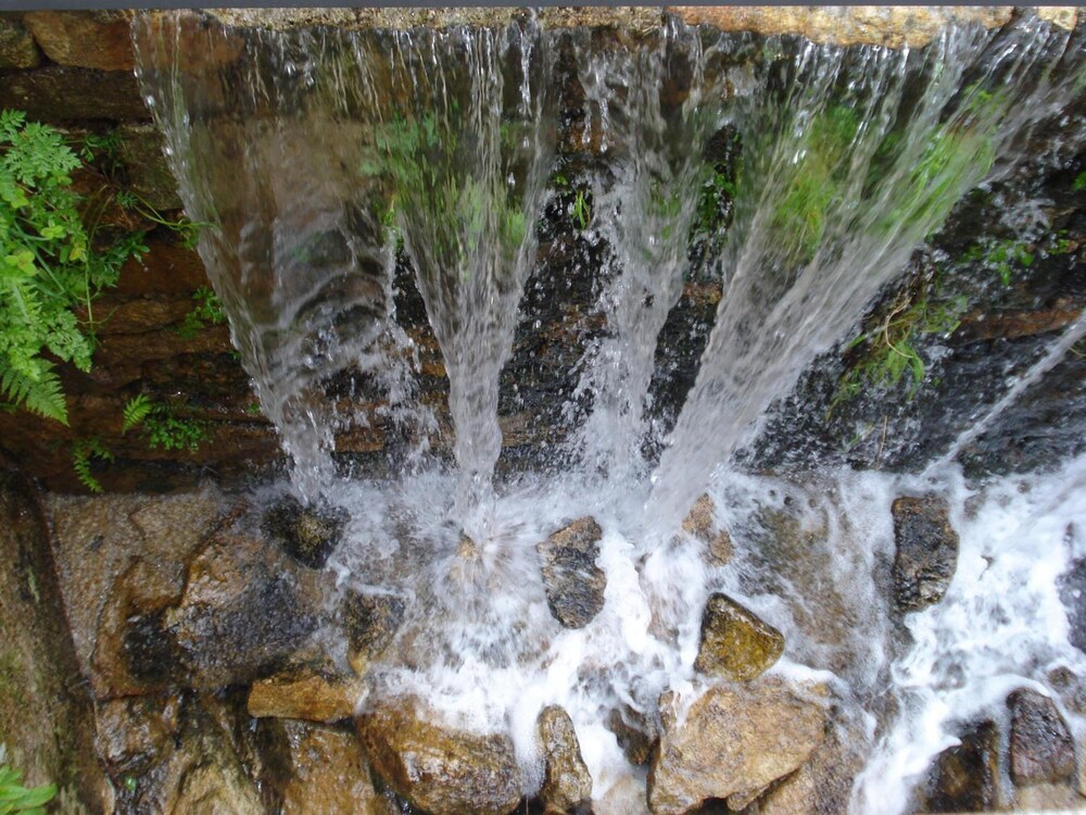 Photo 53