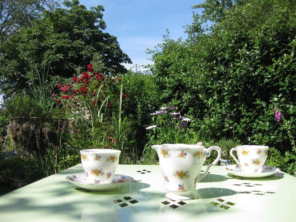 garden