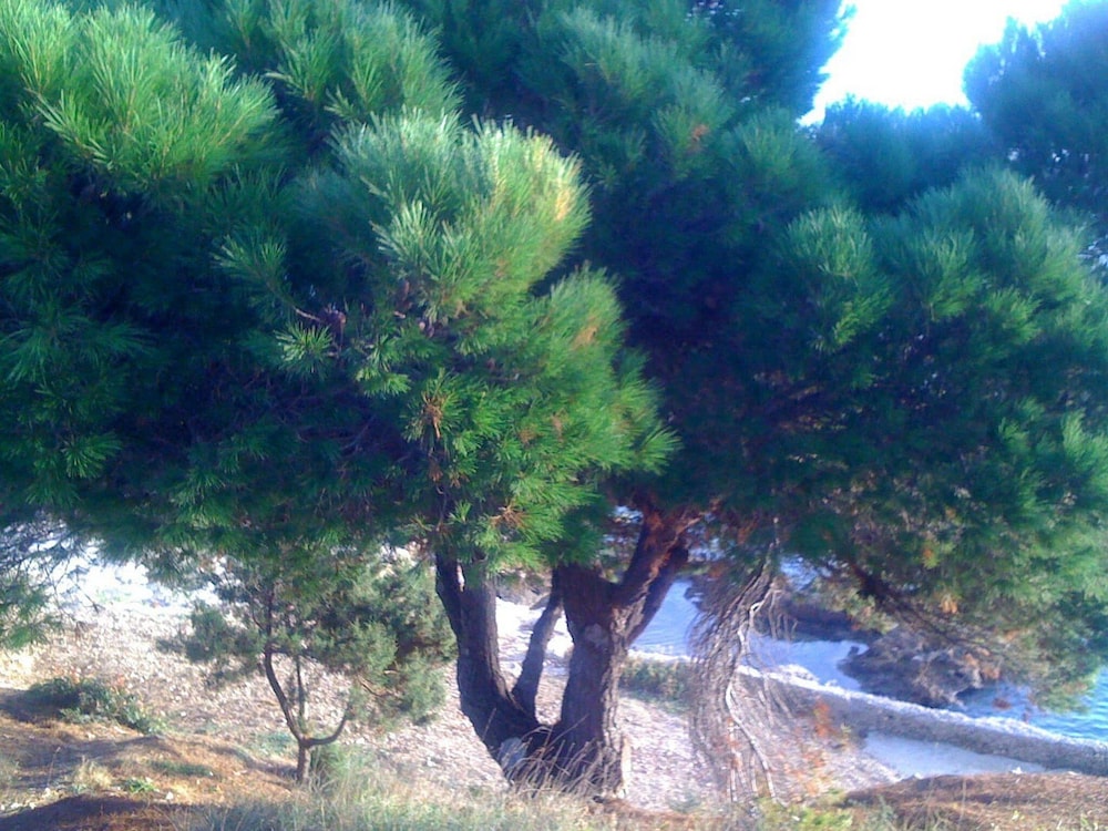 Photo 31