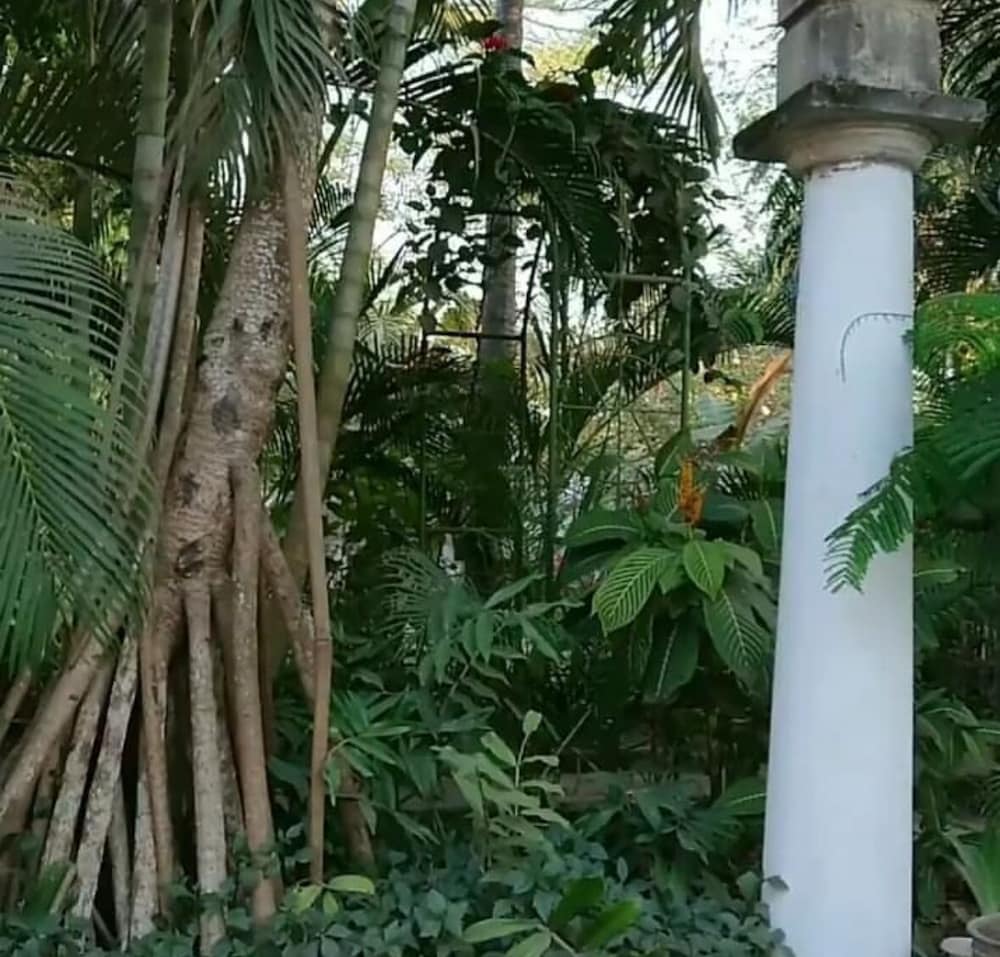 Kiota Jungle Homestay