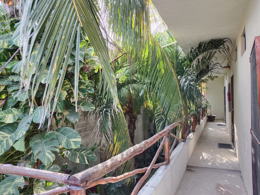 Casa Lupita