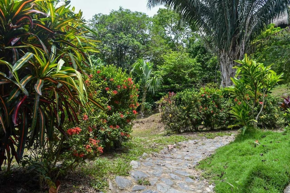 Ecohabs Bosques del Tayrona