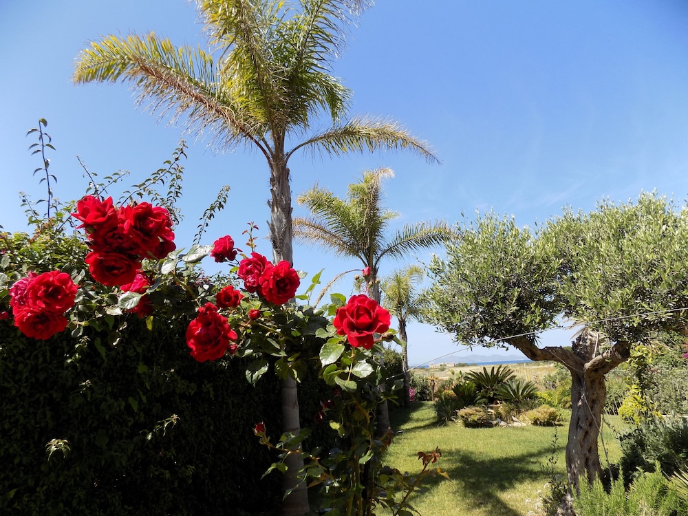 Vista Egadi B&B