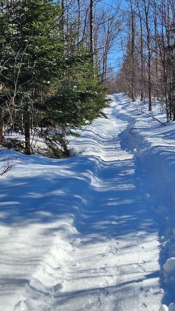 Photo 28