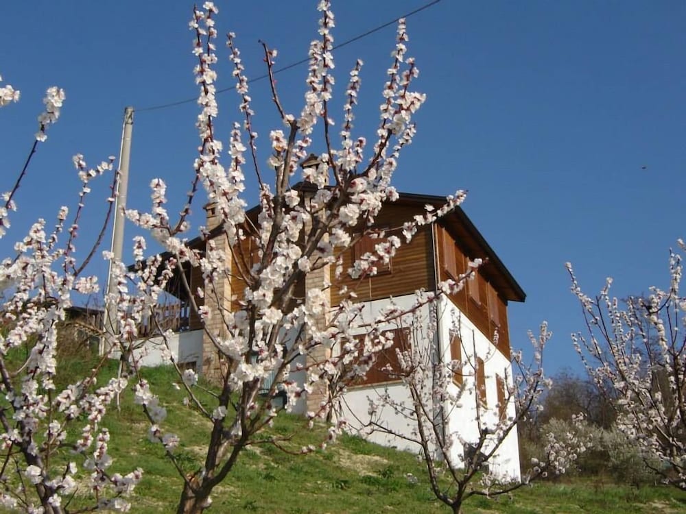 Photo 10