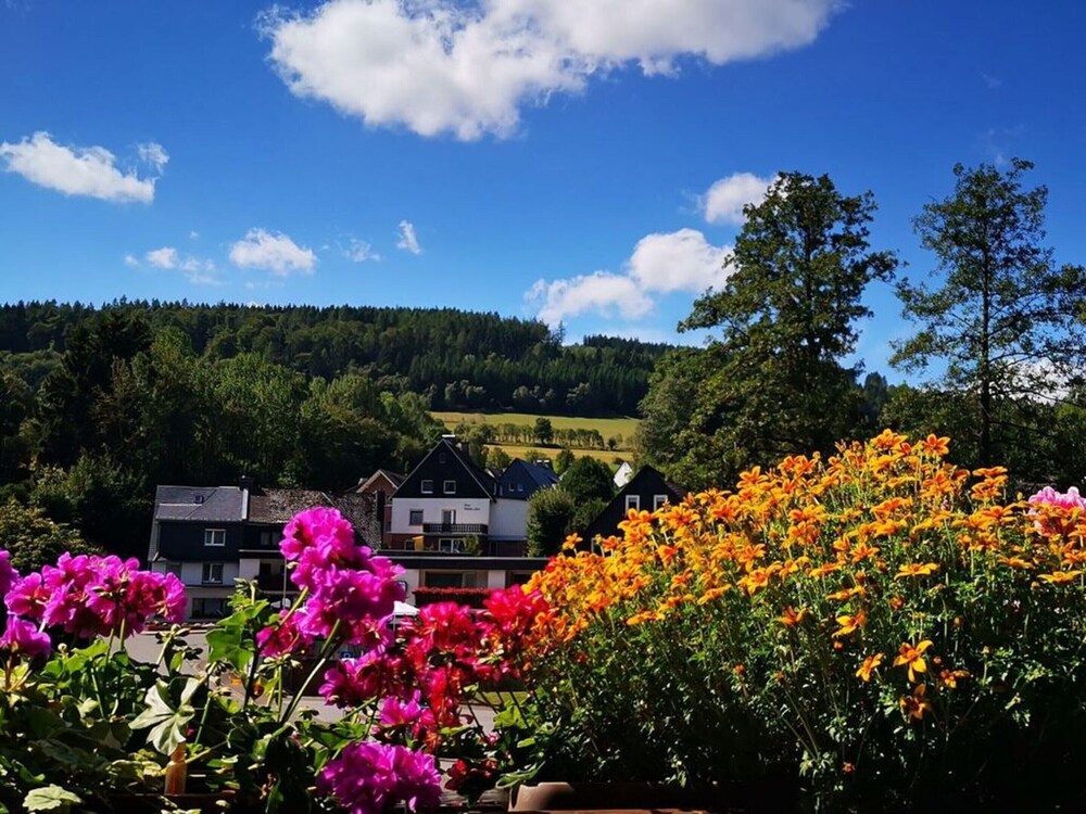 Alluring Apartment in Willingen