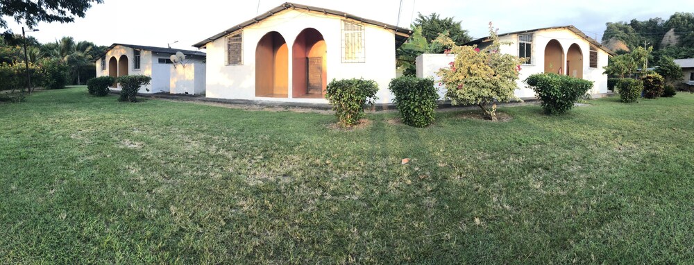 Photo 40