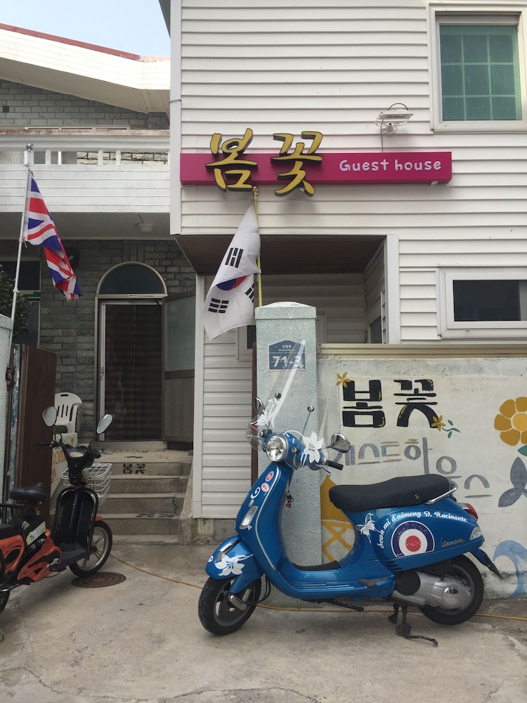 Springflower Guesthouse - Hostel