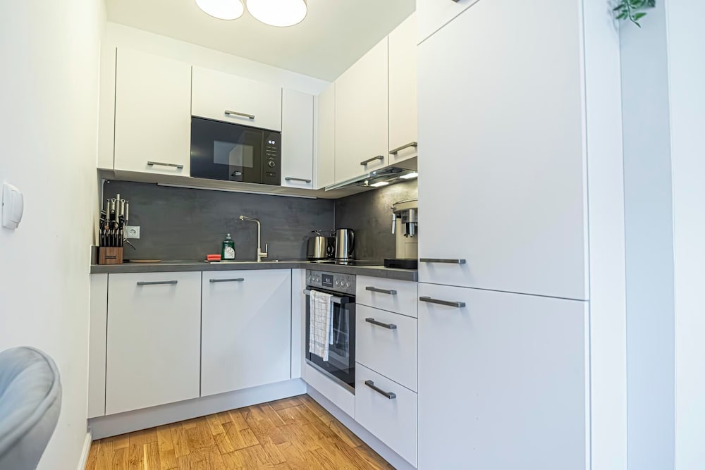 Cozy 1BR 1LR Apartment Balcony City