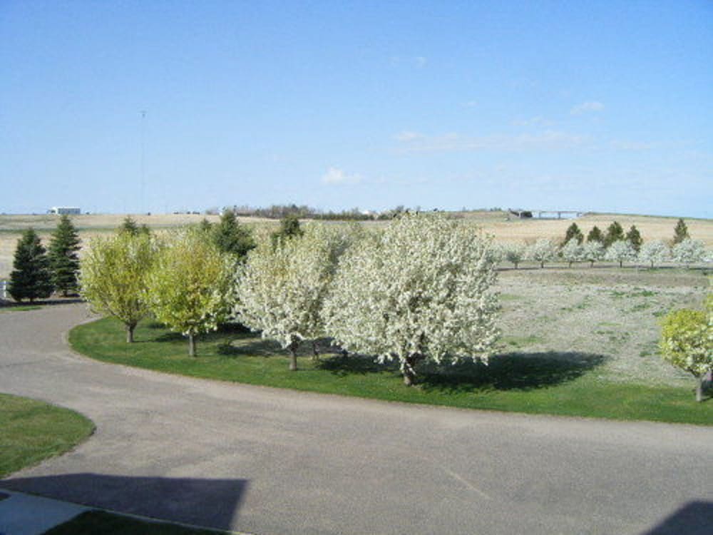 Photo 56