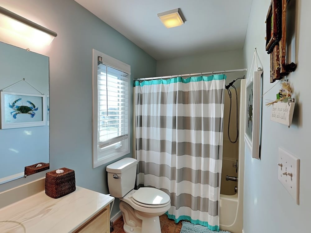 The Shell Collector by Topsail Realty