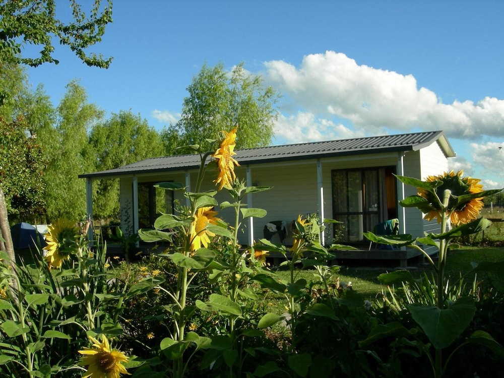 The White Elephant Accommodation - Hostel