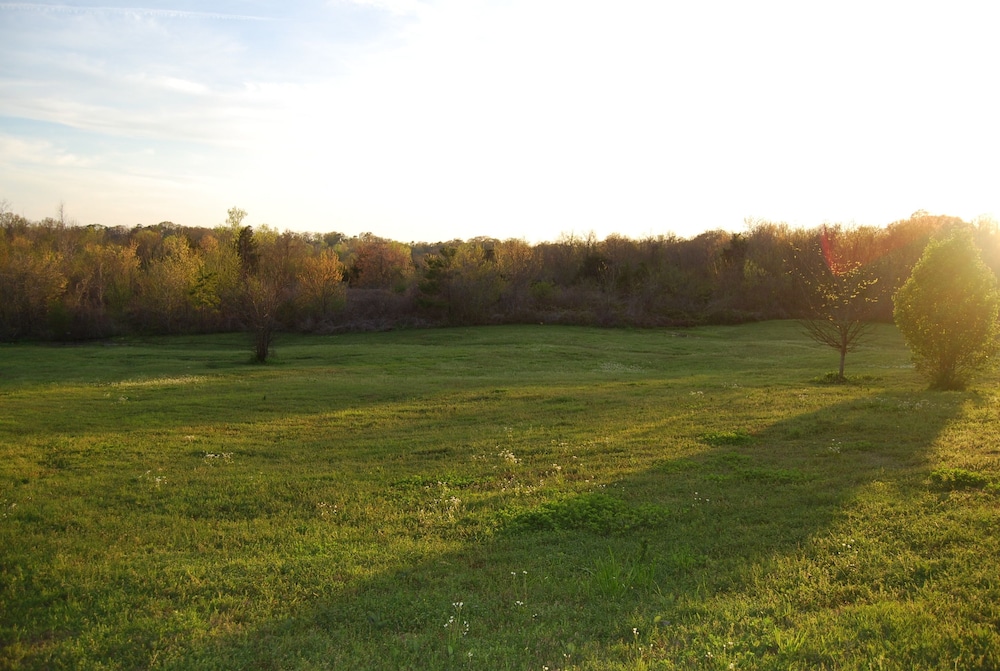 Photo 42