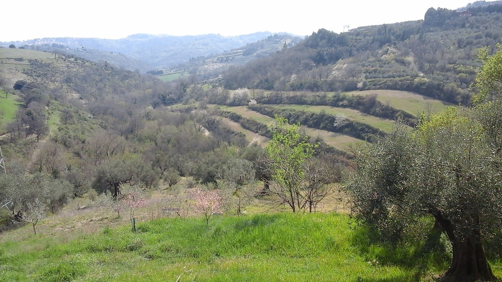 Cor Di Bezzolo, Φωτογραφία 29