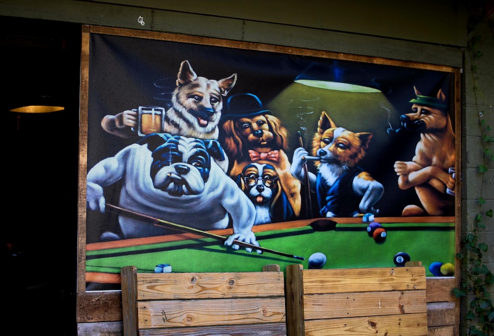 Bear Creek Lodge and Cabins in Helen Ga - Pet Friendly, River on Property, Walking Distance to downtown Helen