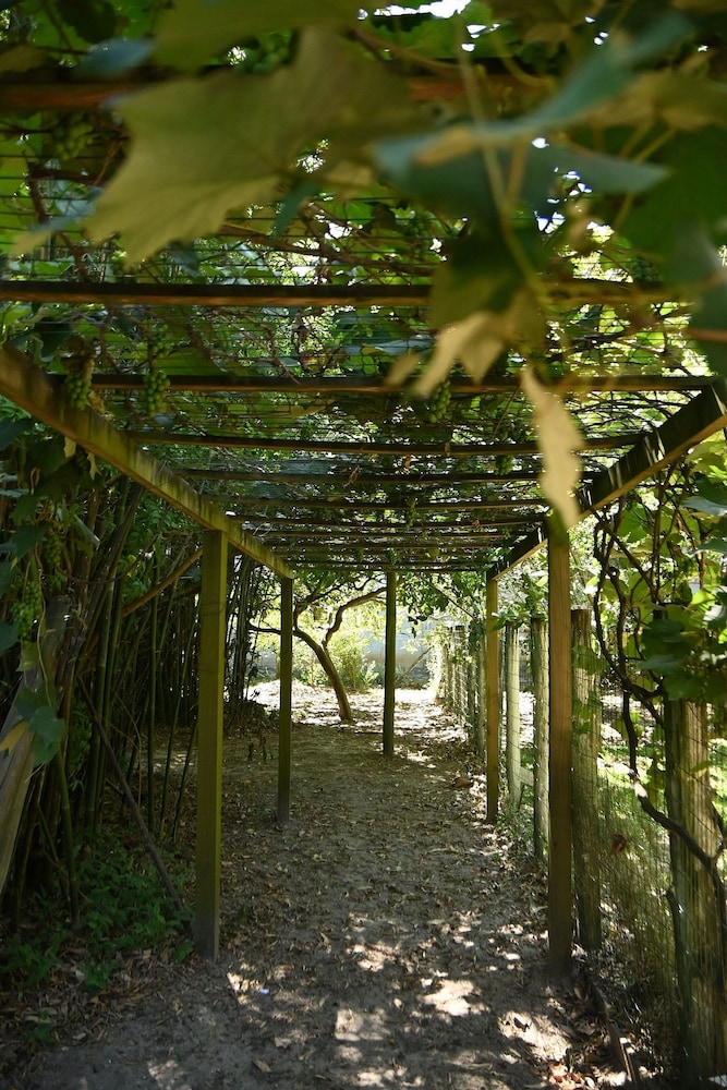 Sitio Simon - Imbituba/sc