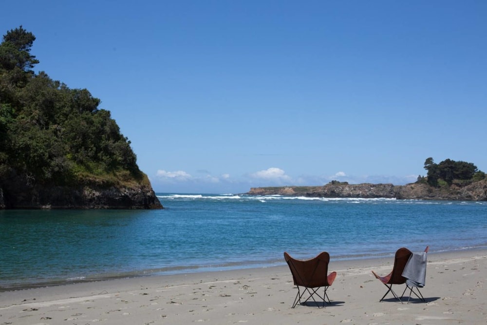 Mendocino Grove 15