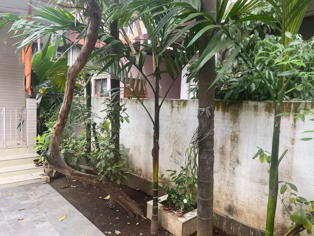 Amazing Homestay