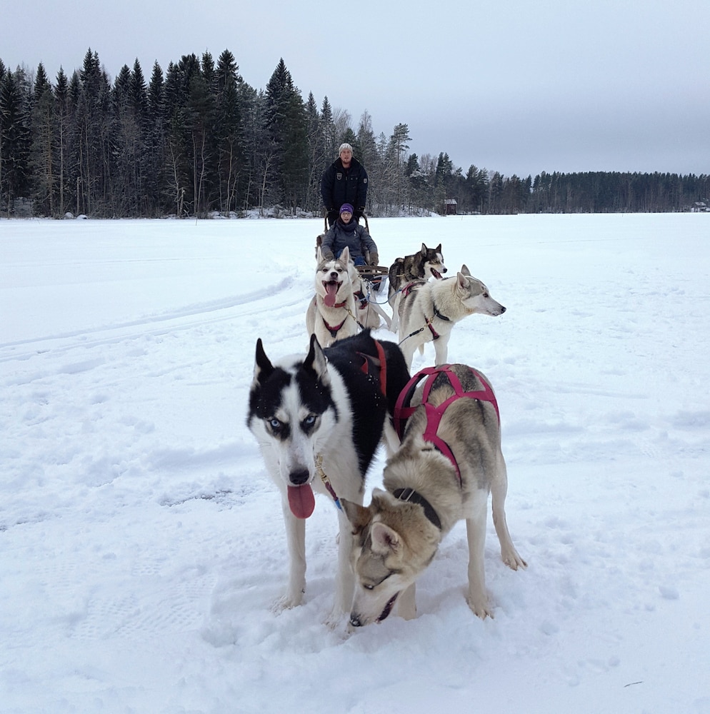 Photo 44