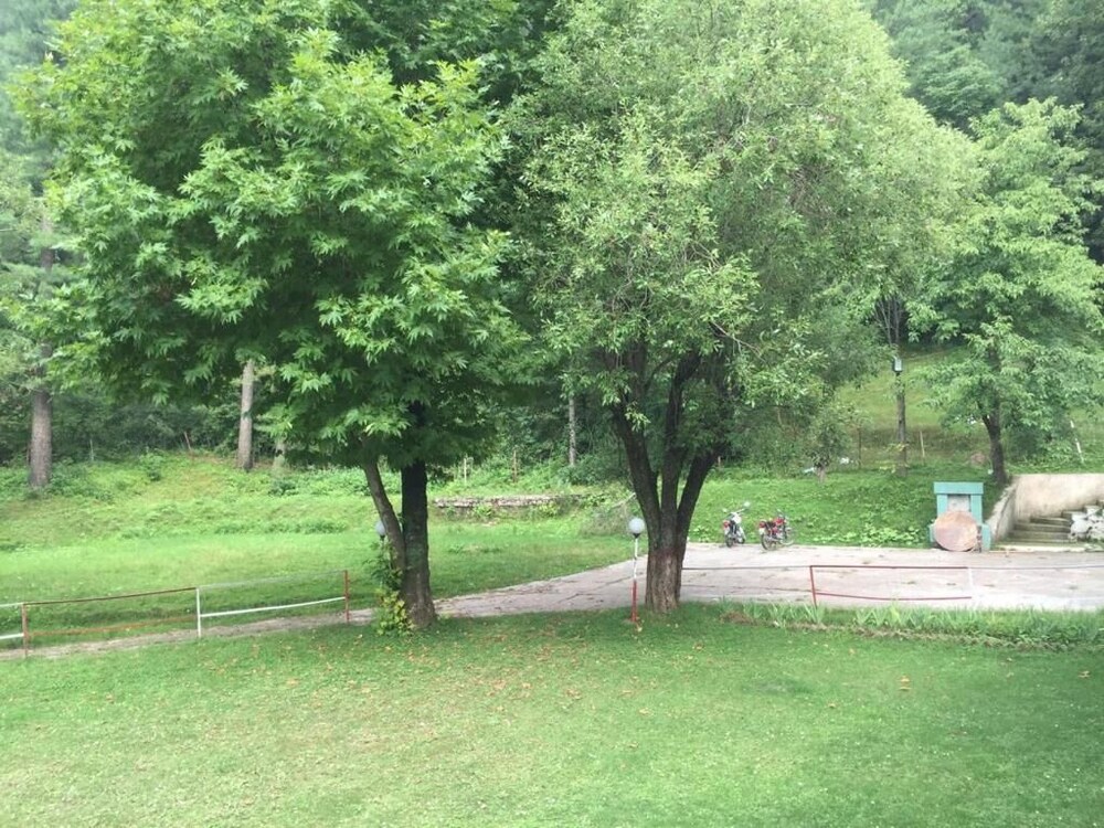 Photo 12
