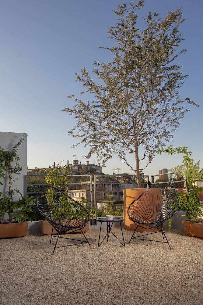 V65 Mexico rooftop photo