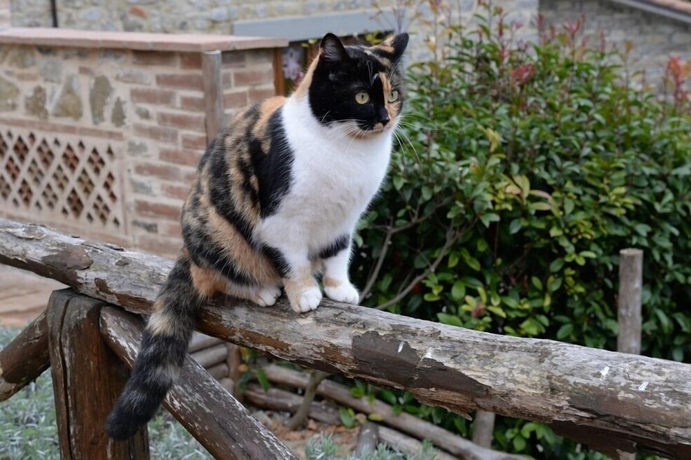 Agriturismo Le Ceregne bio