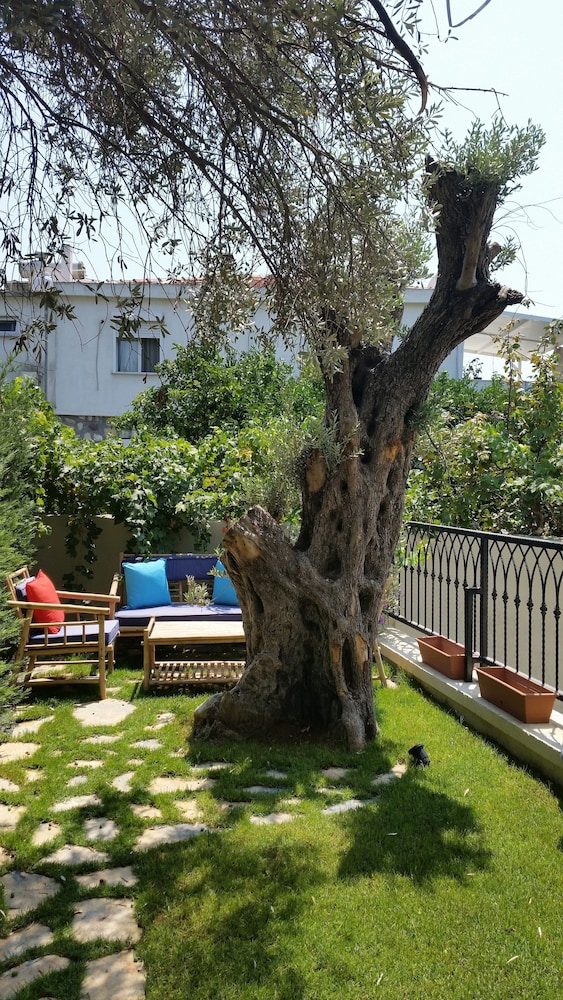 Cassiopeia Hotel Alacati - Image 23