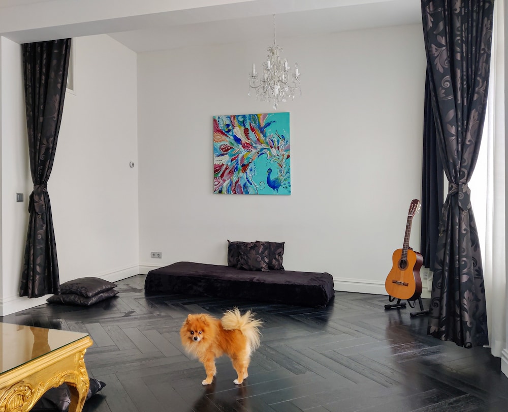 Sézane's Lodges: shared home - not hotel - in museum district