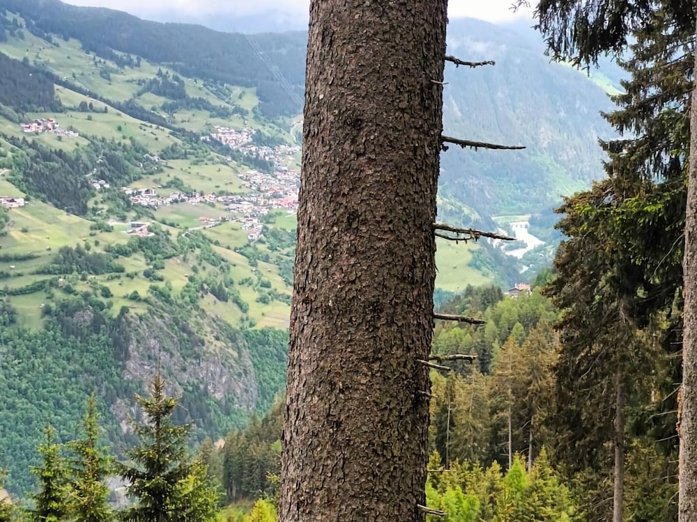Apartment Hochgallmigg Near Ski Slopes
