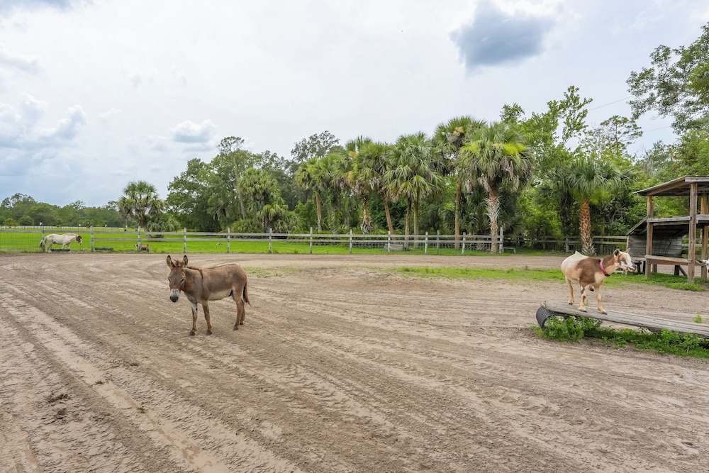 Farmhouse Hideaway w/ Covered Patio in Kissimmee