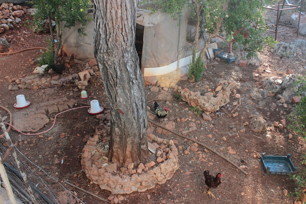 Patara Doga Apart - Image 19