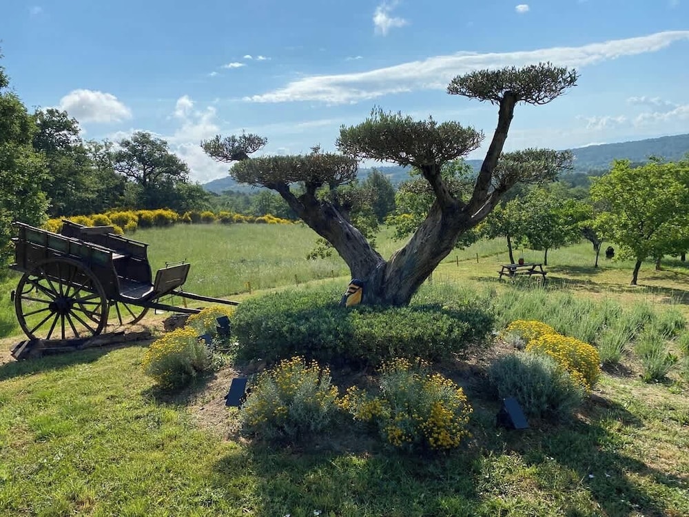 Villa in Murs Heart of the Luberon