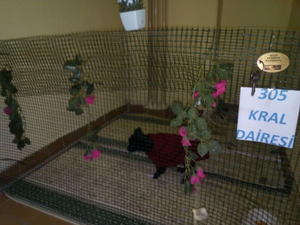 Altin Pansiyon
