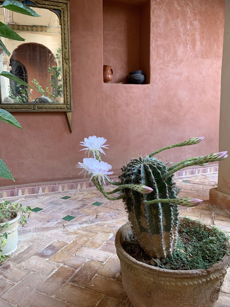 Riad Chant d'Etoiles view 5