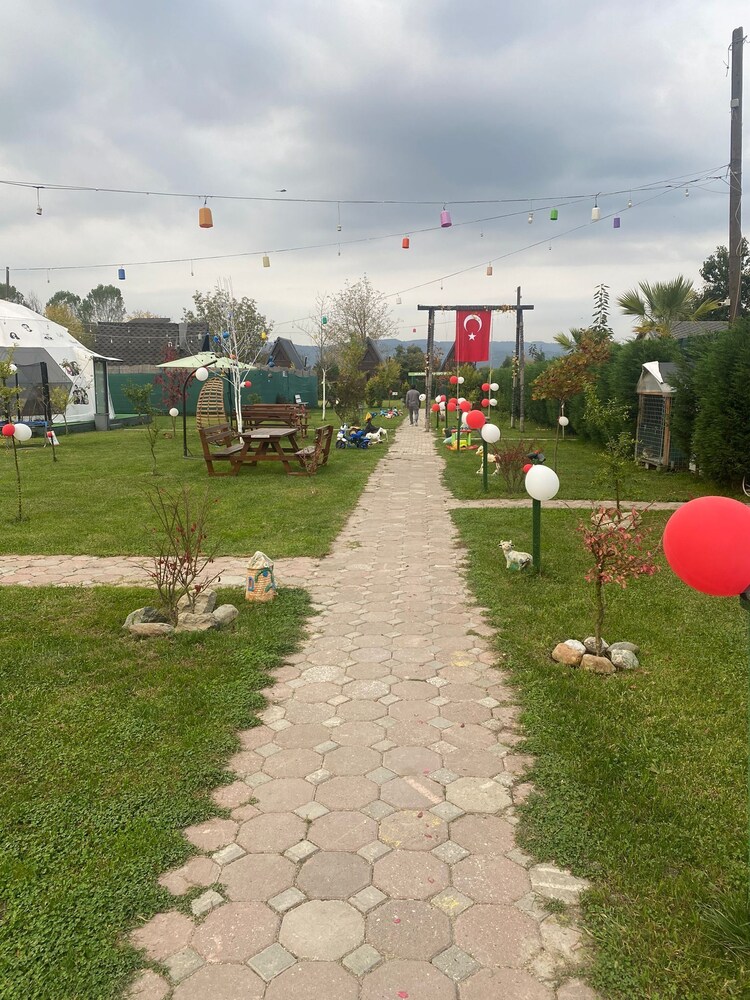 Photo 6