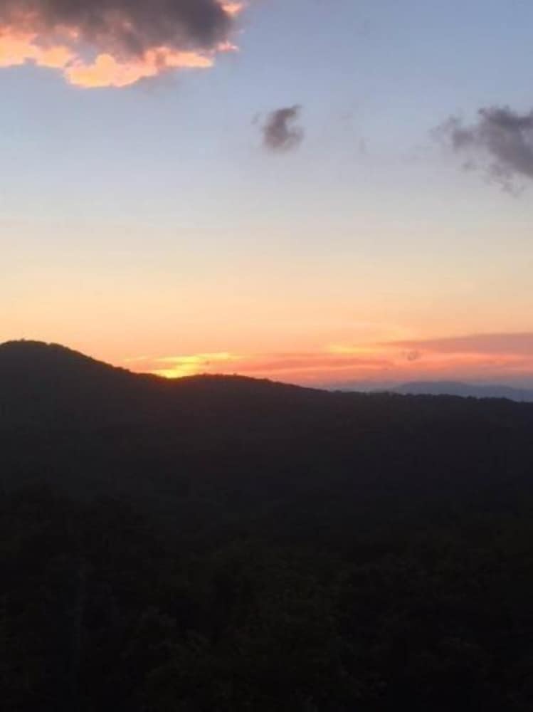 Arcadia view 4