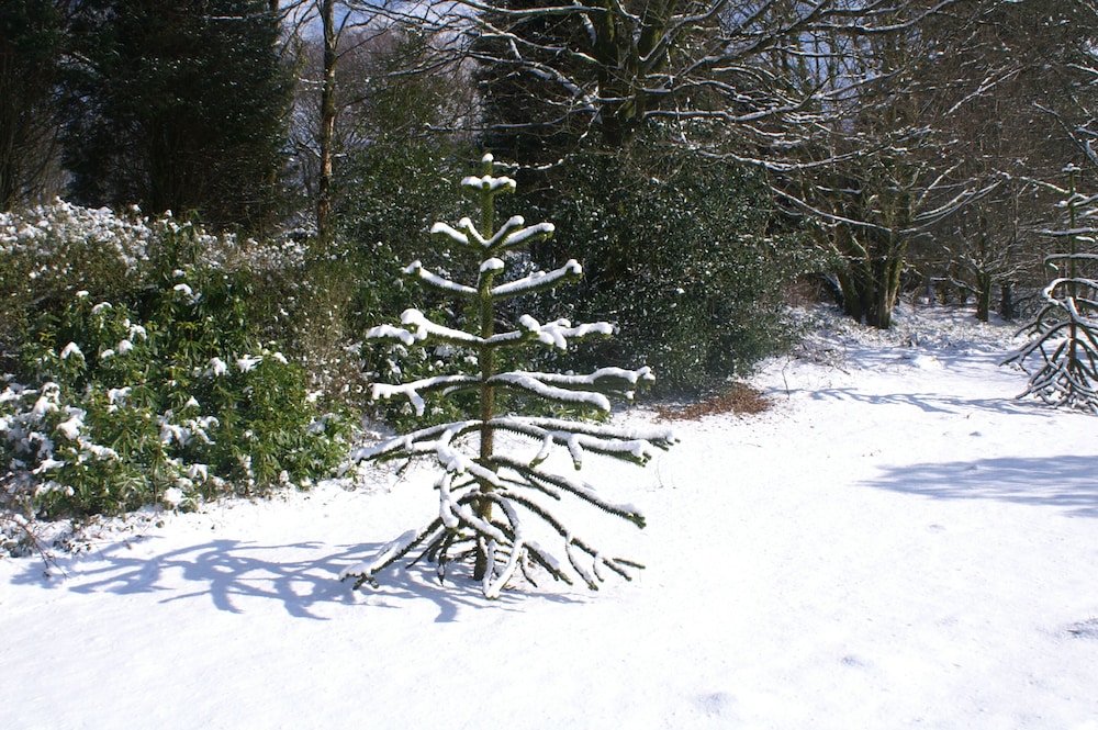 Moorlands