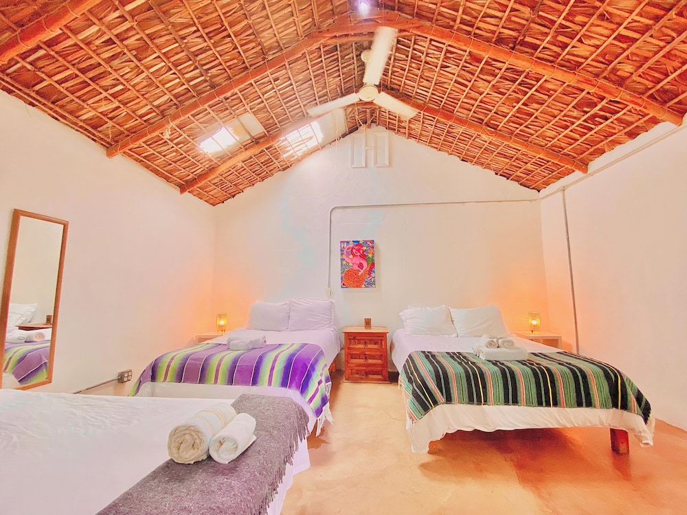 Perro Surfero Hotel Boutique - Todos Santos, BCS