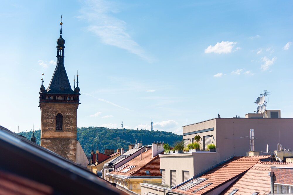 roof