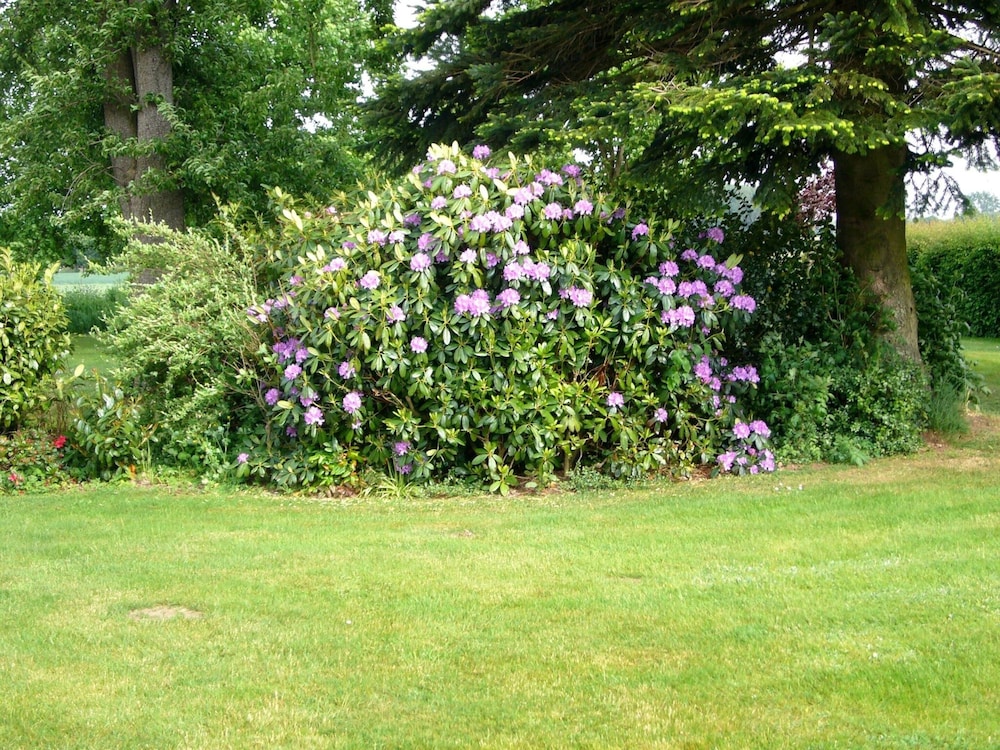 Photo 32