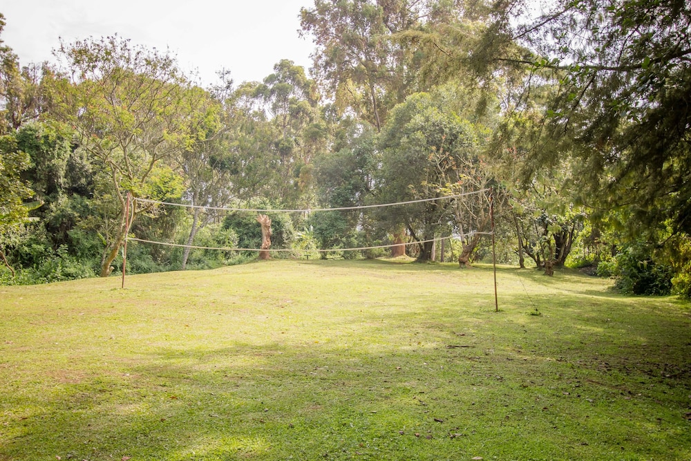 Bushara Island Camp