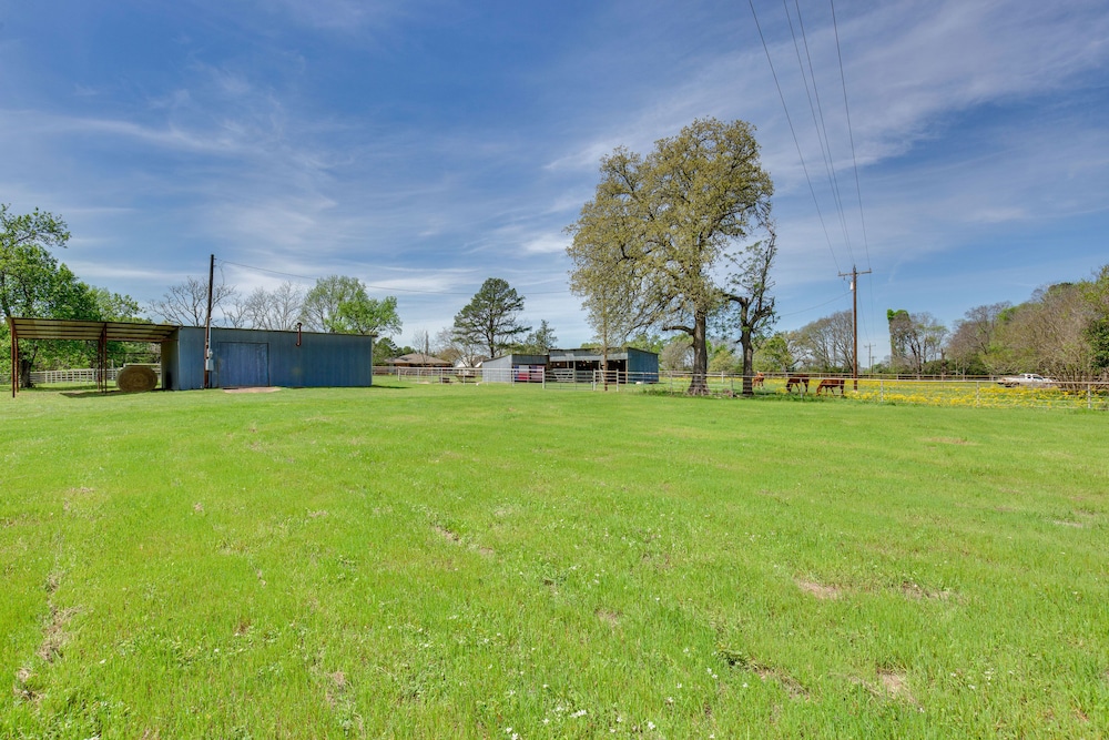 Grapeland Farm Retreat w/ Pool, Grill Fire Pit - Property Image 11