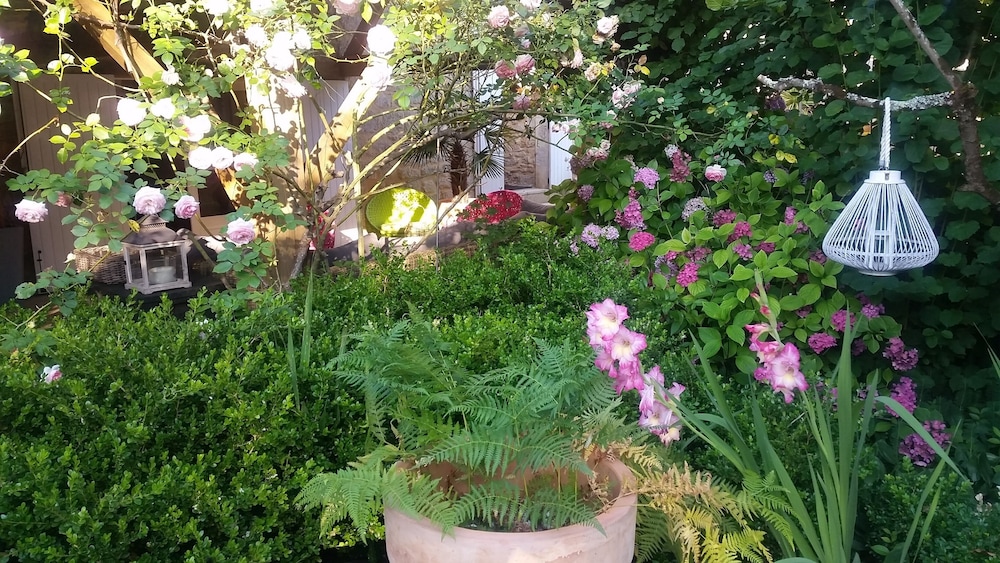 Photo 43