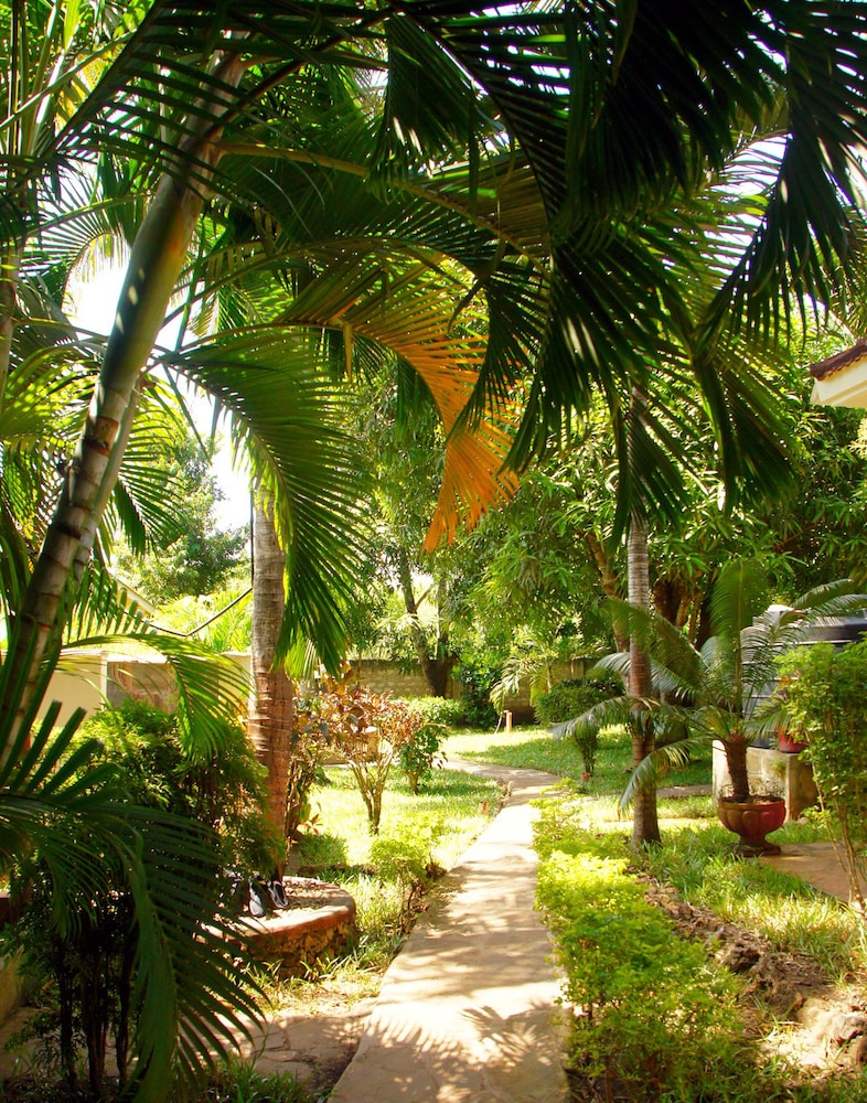 Jamboland-Diani