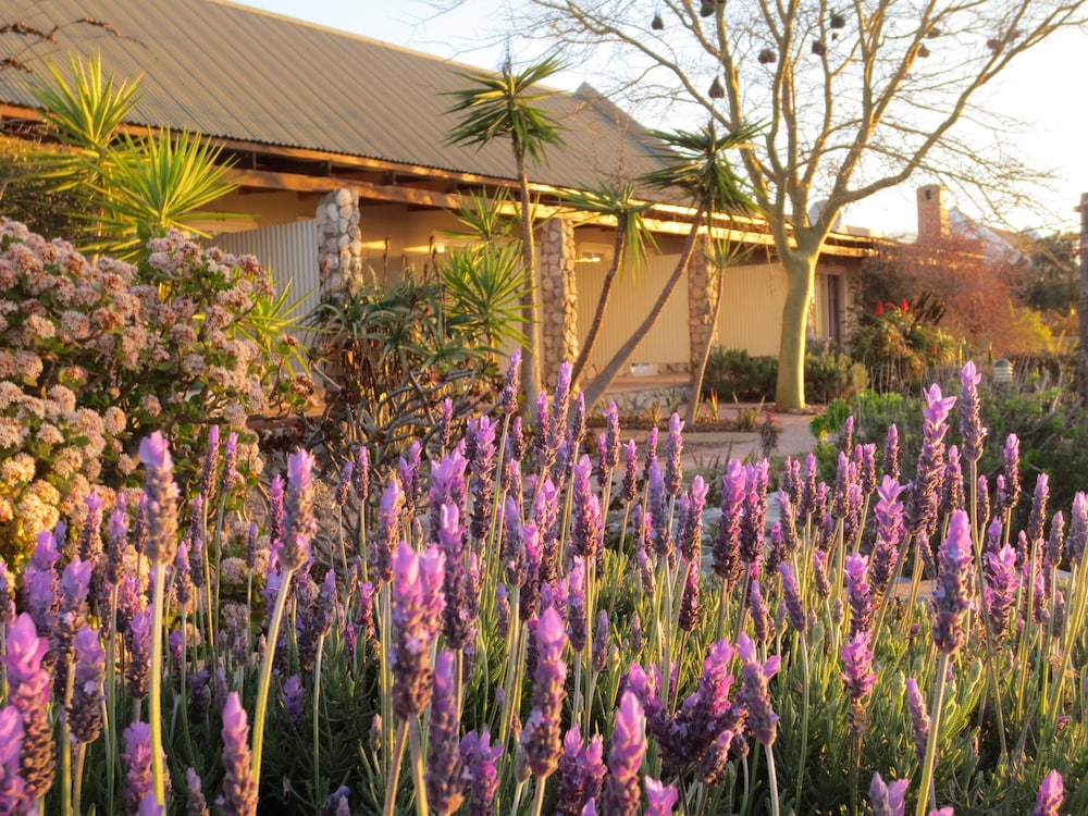Masada Guest House