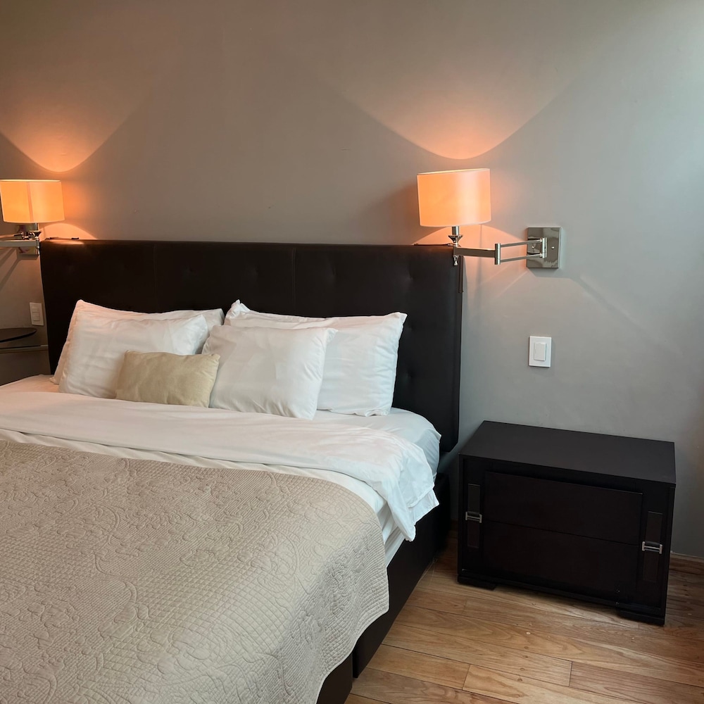 Arquimedes Art 105 I Spacious 1BR in Polanco photo 2