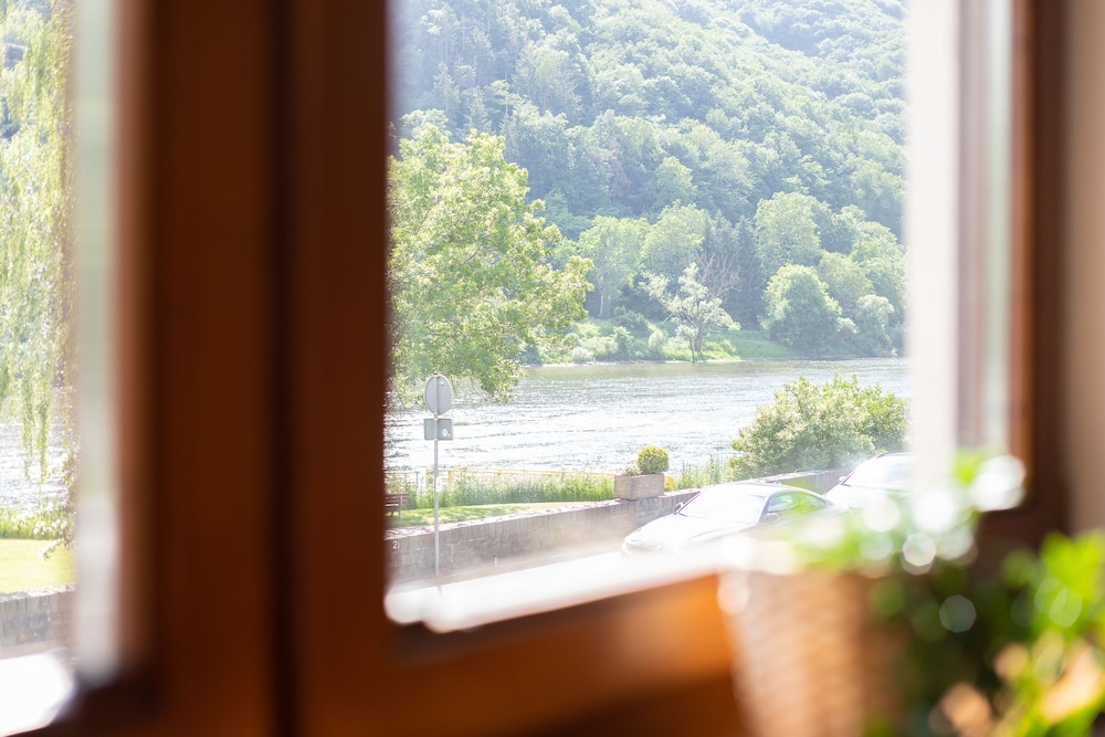 Haus Blaue Traube view 4