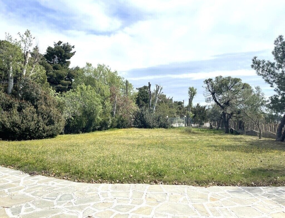 Photo 48