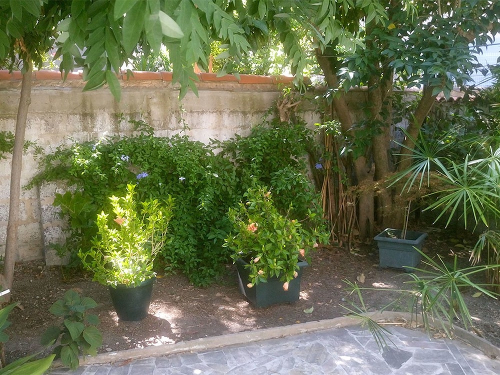 Photo 28