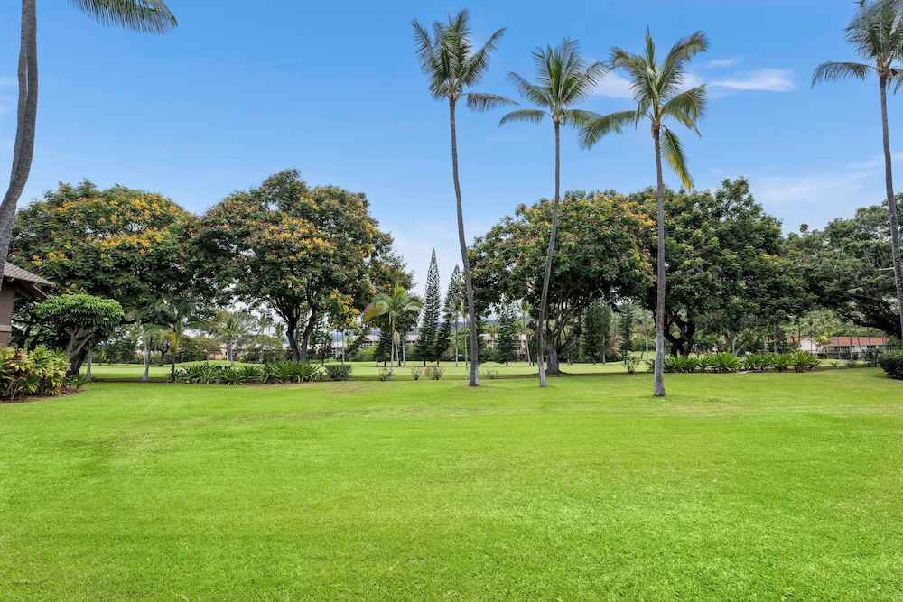 Fairway & Ocean Views - Updated Top Floor - AC- Vrkcv